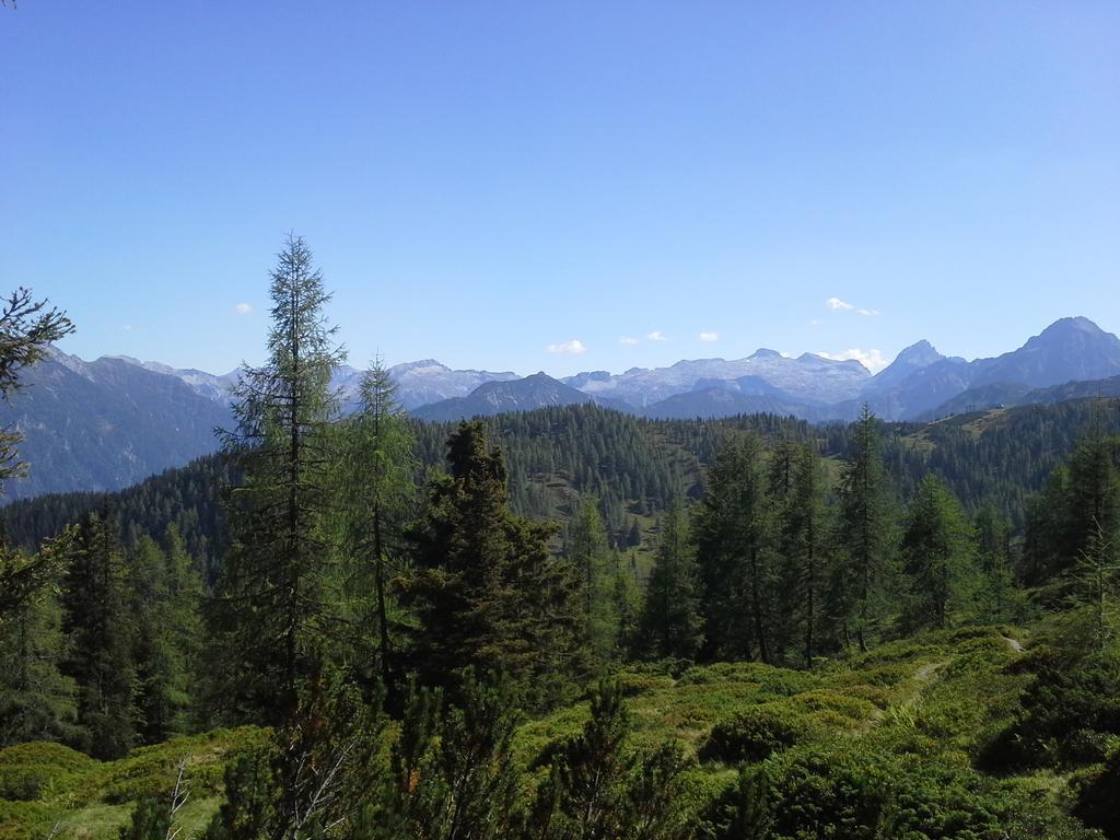 Phantasia Flachau Dış mekan fotoğraf